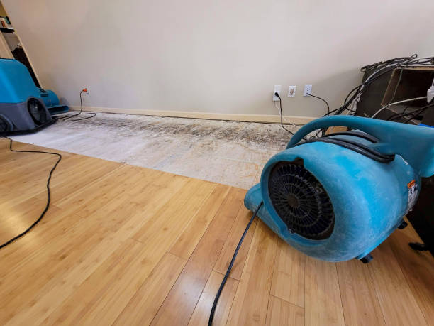 Reliable Emergency Water Removal contractor in Cadillac, MI by Hirex Water Damage