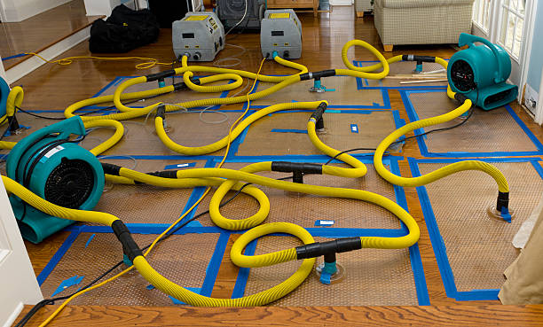Professional Emergency Water Removal technician working in Cadillac, MI